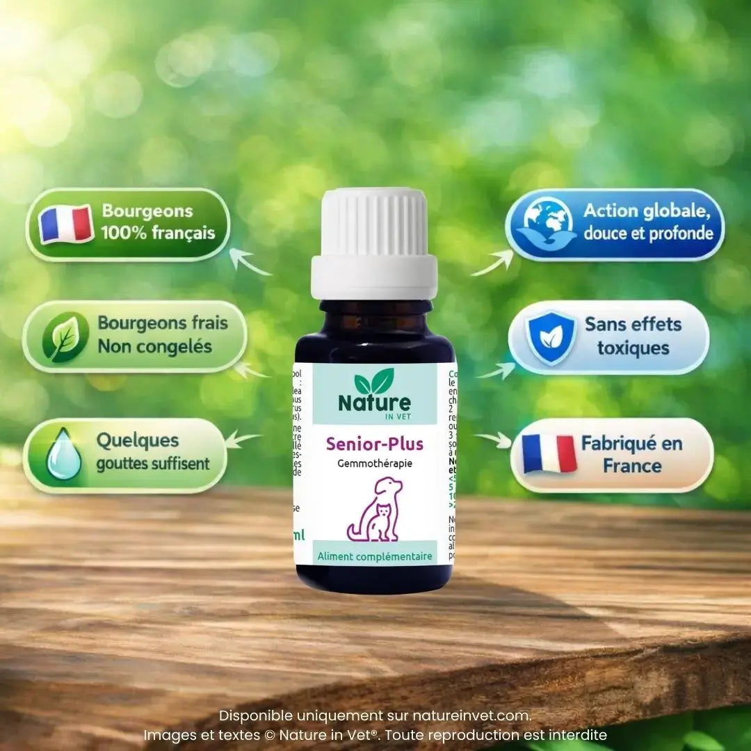 Senior Plus soutien mobilité vitalité digestion et immunité chien chat