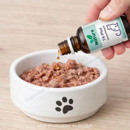 Chat recevant complément naturel hyperthyroïdie T4 Plus Nature in Vet