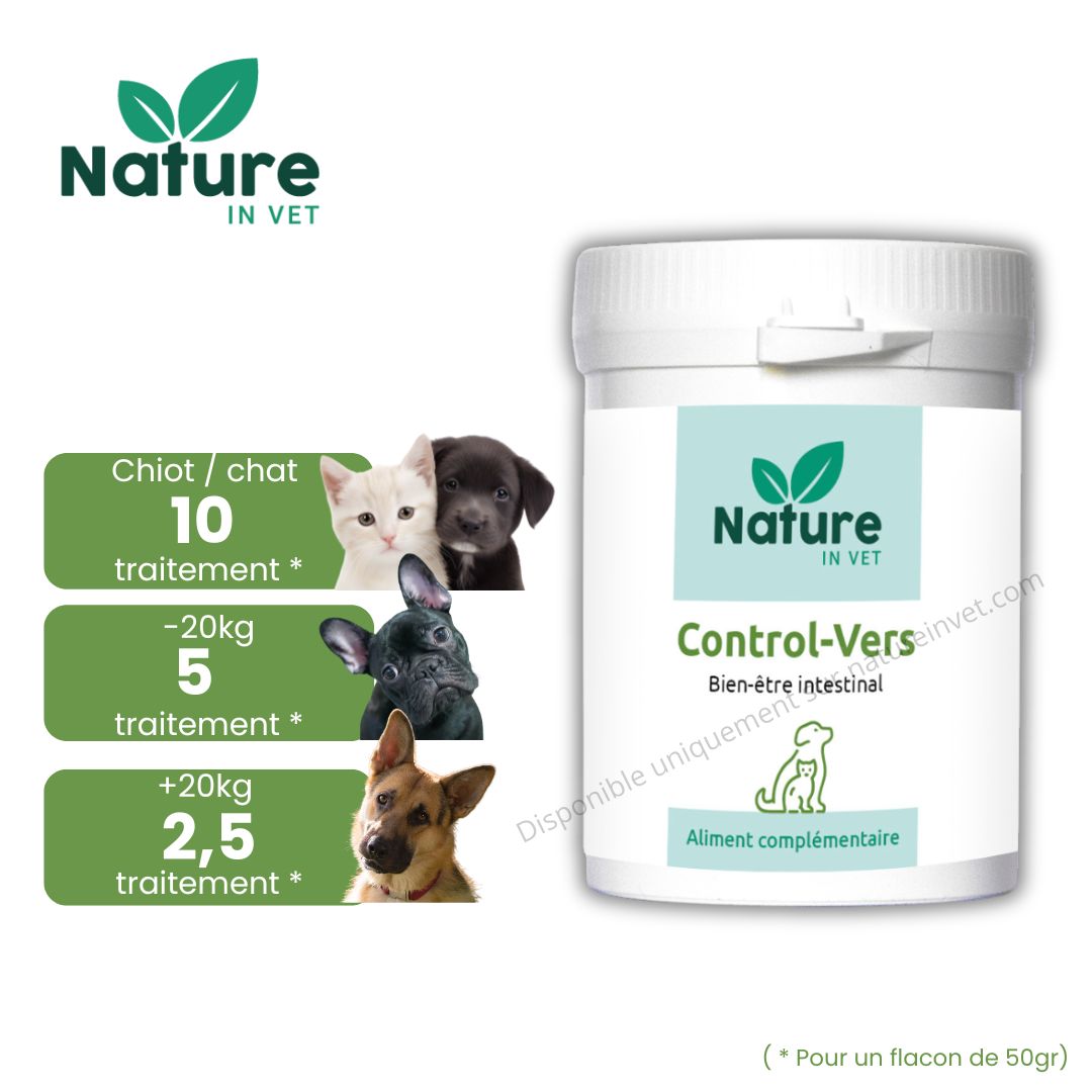 ail-vermifuge-pour-chien