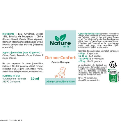 allergie chien chat phytotherapie 