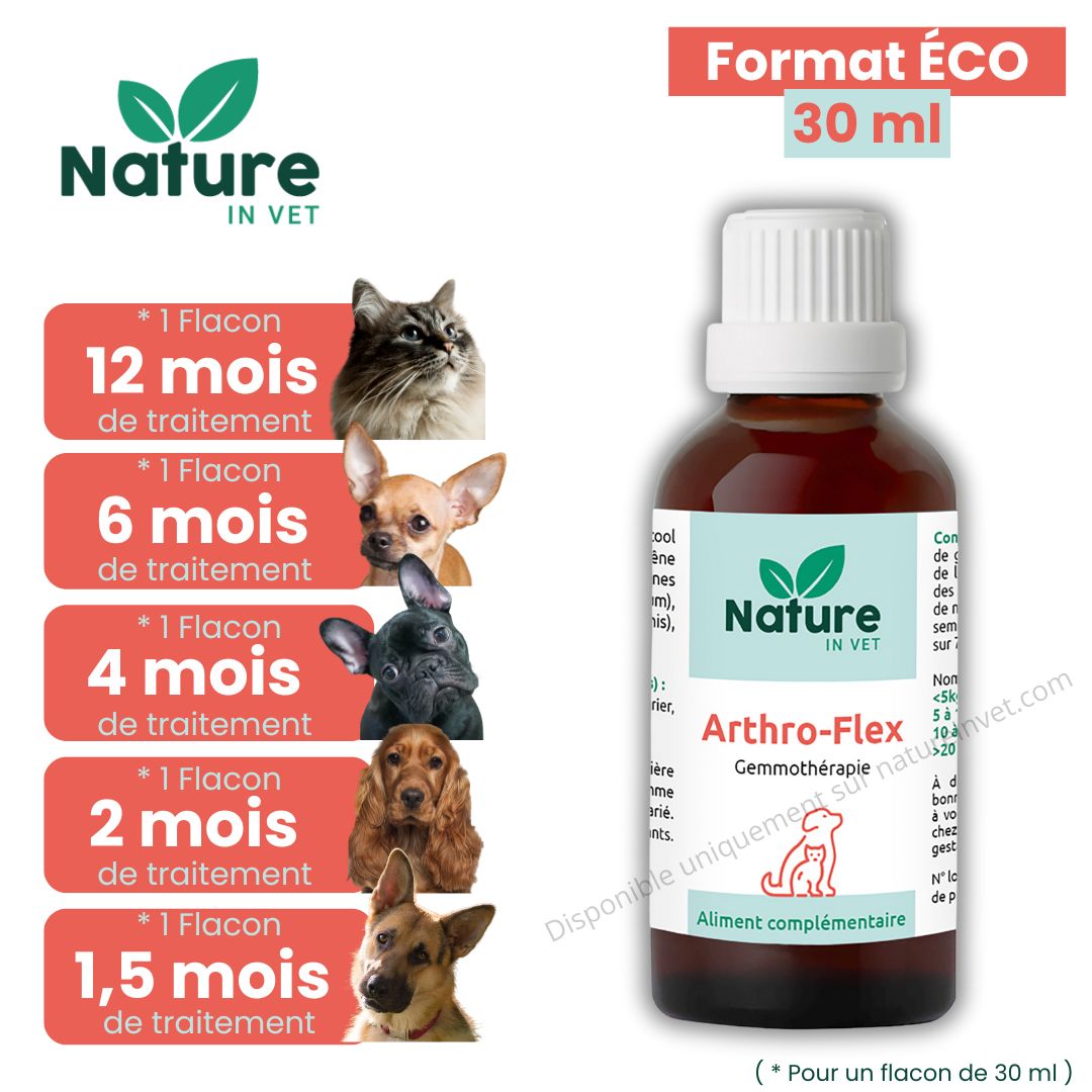 arthro-flex-arthrose-chien-chat