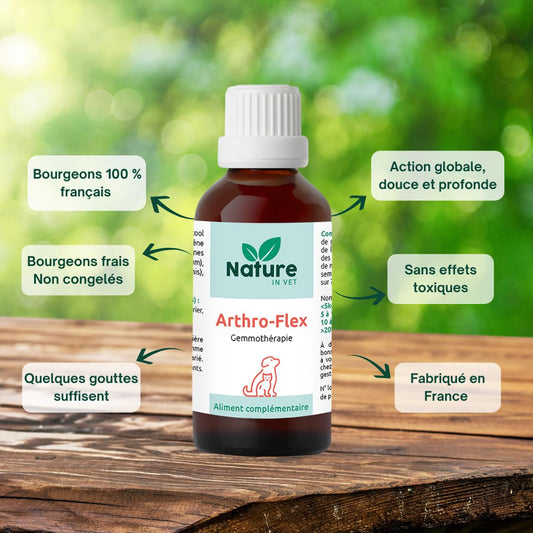 arthro-flex-phytotherapie-chien-chat