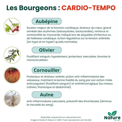 bourgeon-aubépine-coeur-chien-chat