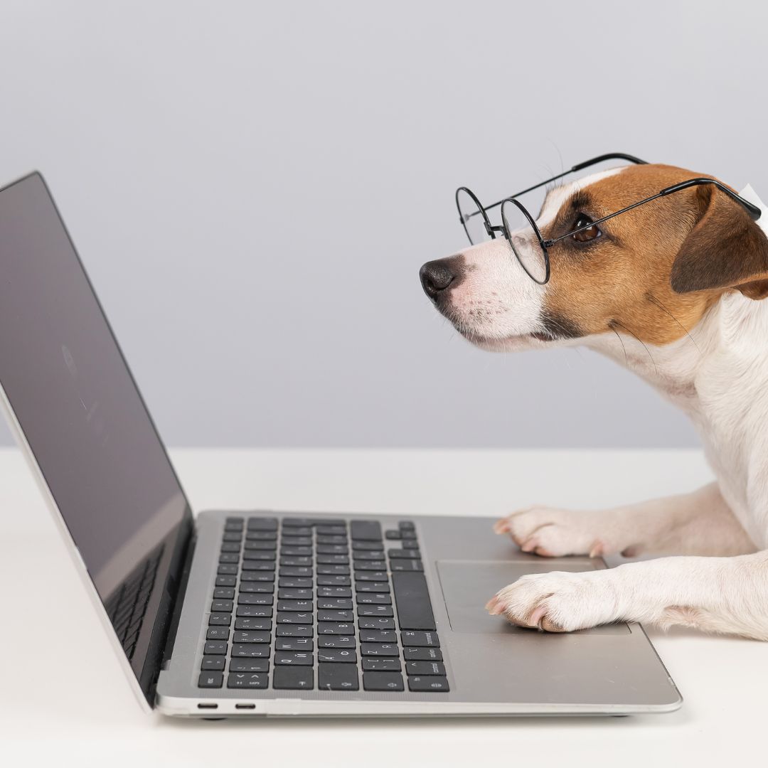 c'est quoi la gemmotherapie ?