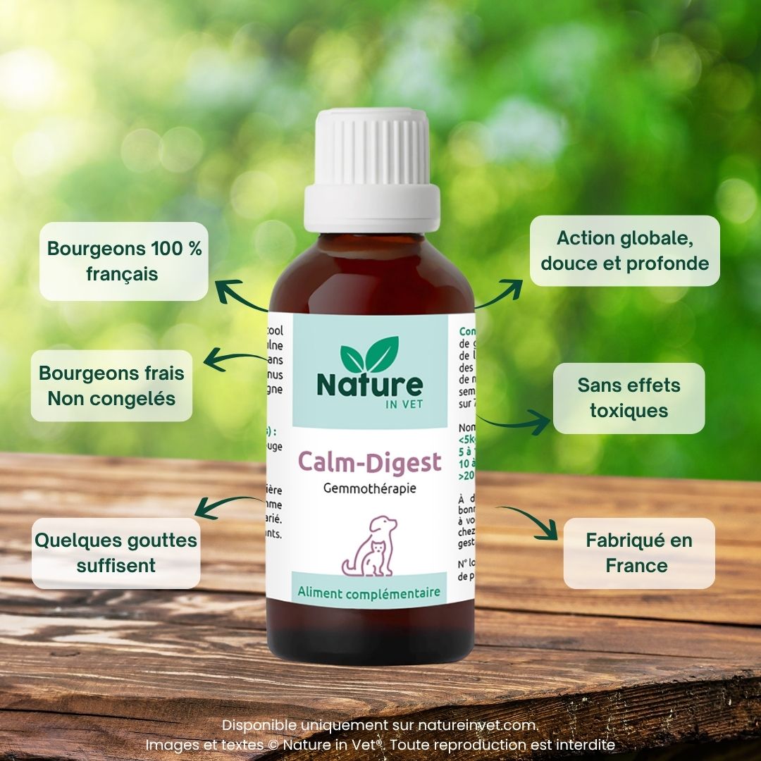 calm-digest-phytotherapie-chien-chat