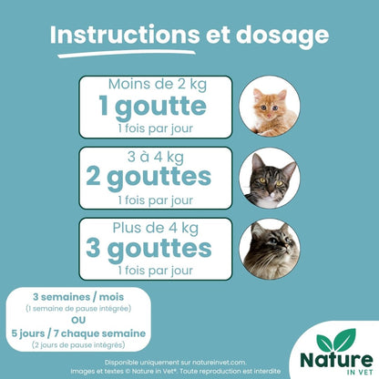 chat-aveugle-que-faire