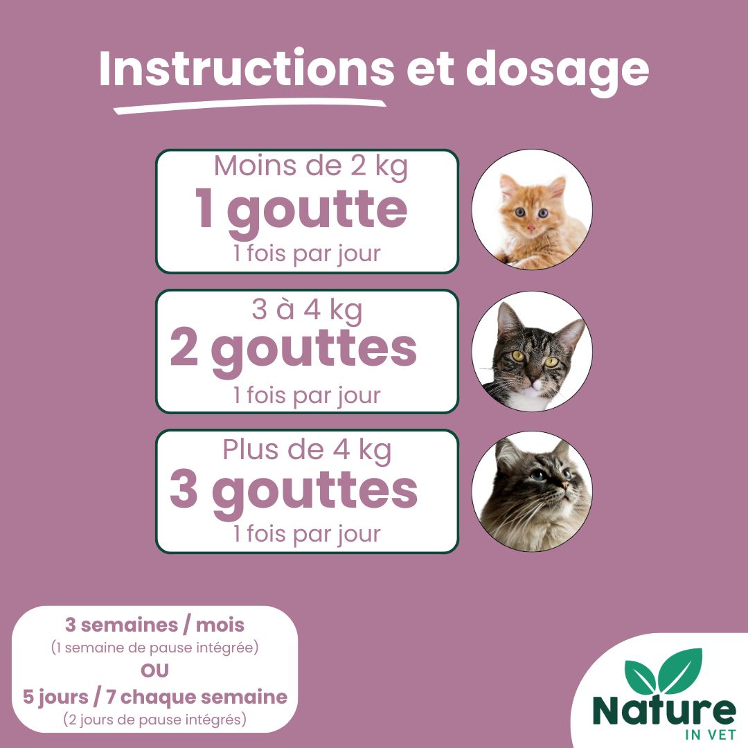 complément alimentaire mici intestin chat 
