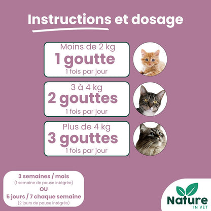 complément alimentaire mici intestin chat 