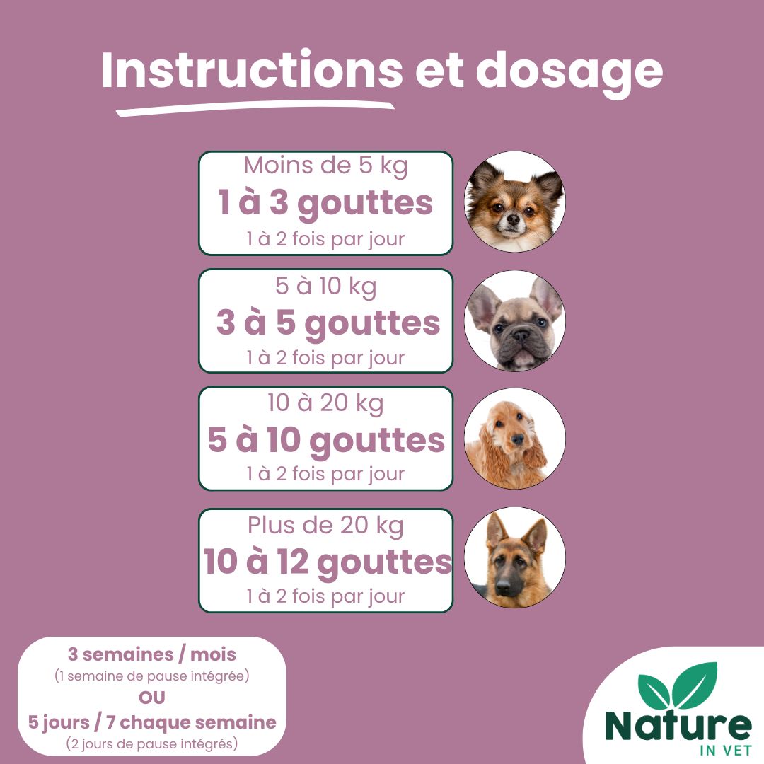complément alimentaire mici intestin chien