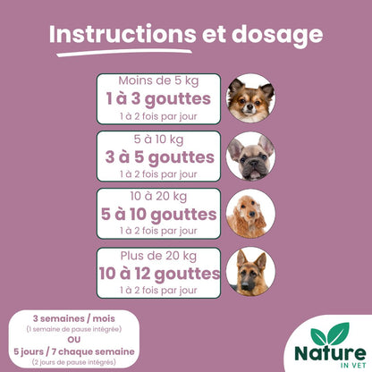 complément alimentaire mici intestin chien