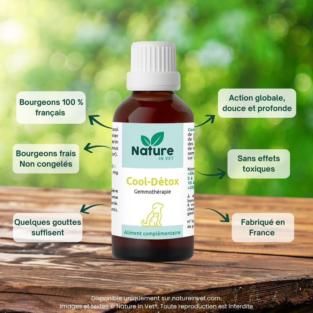 cool-detox-phytotherapie-chien-chat