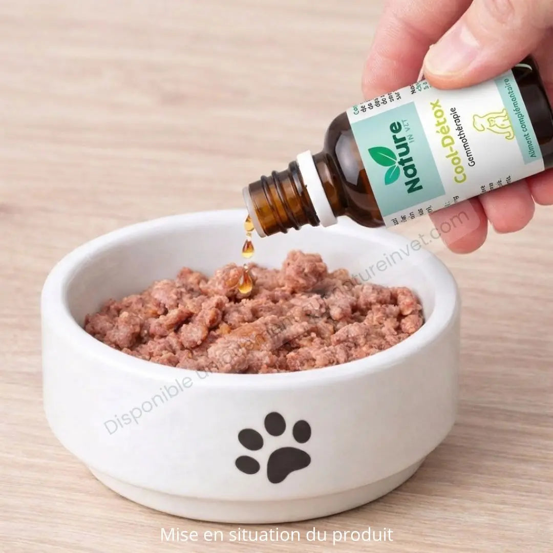 COOL-DETOX Nature In Vet