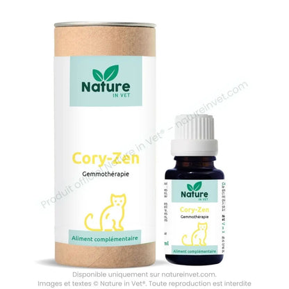 cory-zen-gemmotherapie-chat