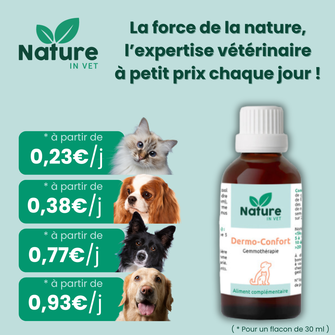 Flacon Dermo-Confort Nature in Vet, complément naturel en gemmothérapie pour chiens et chats, soulage les démangeaisons, irritations et allergies cutanées, protège les muqueuses et favorise la cicatrisation