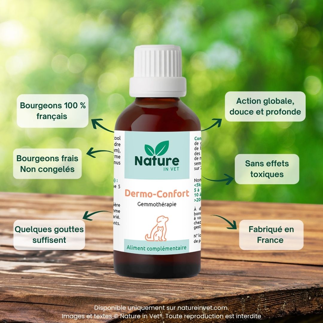 dermo-confort-phytotherapie-chien-chat