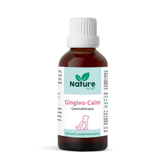 gemmotherapie-chat-gingivite