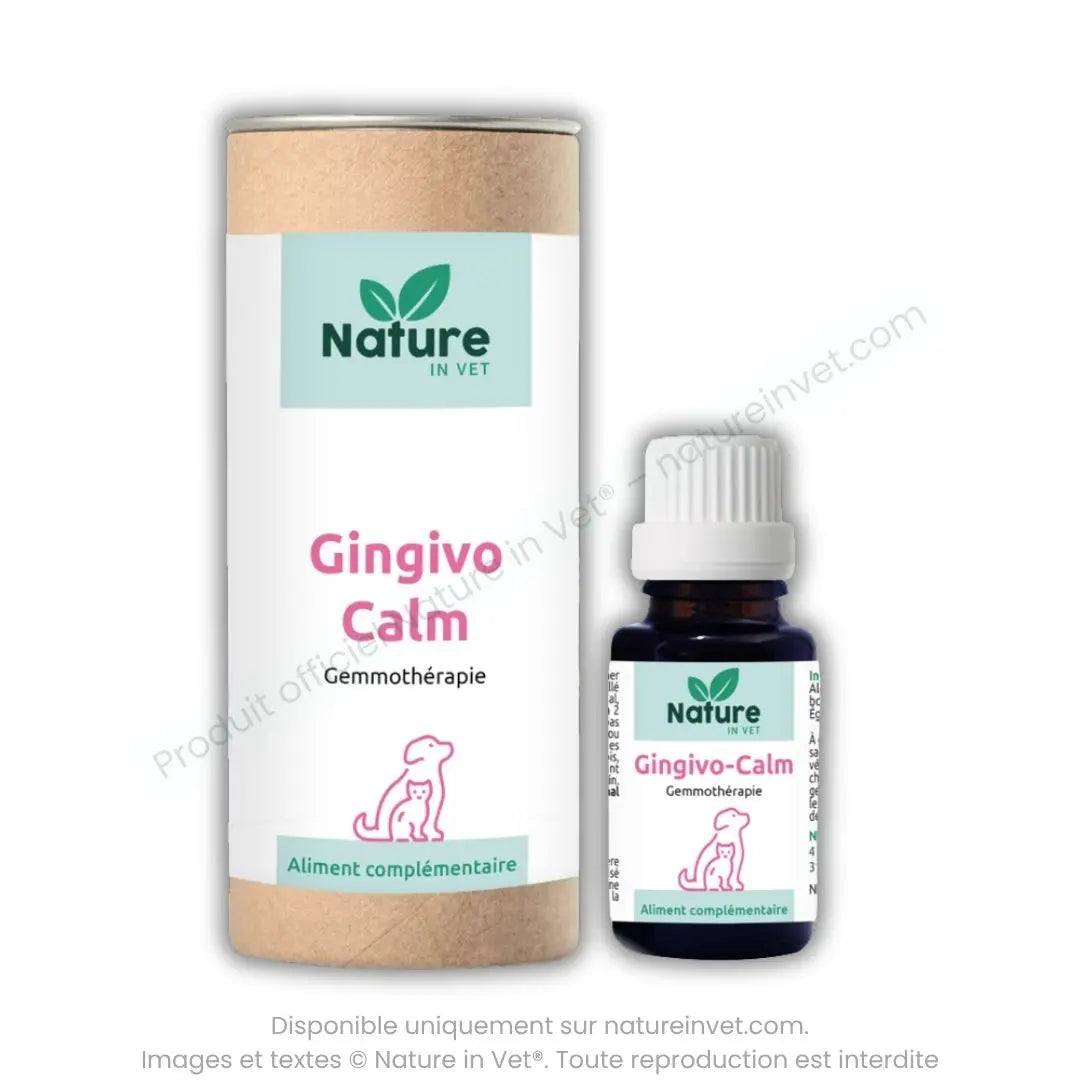 gingivo-calm-gemmotherapie-chat