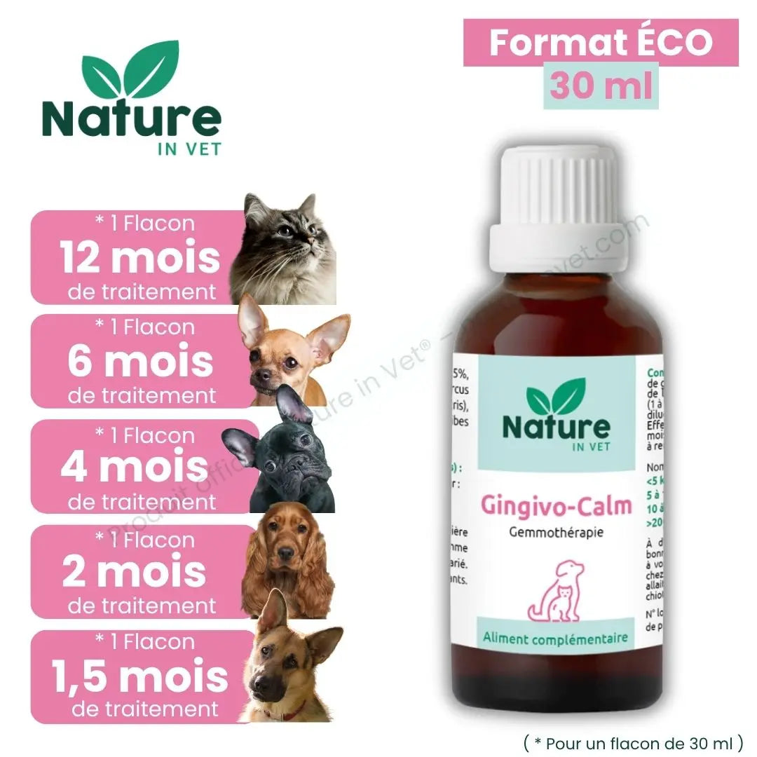gingivo-calm-phytotherapie-chat