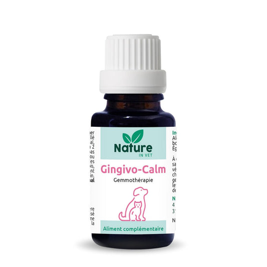 inflammation bouche chat phytotherapie 