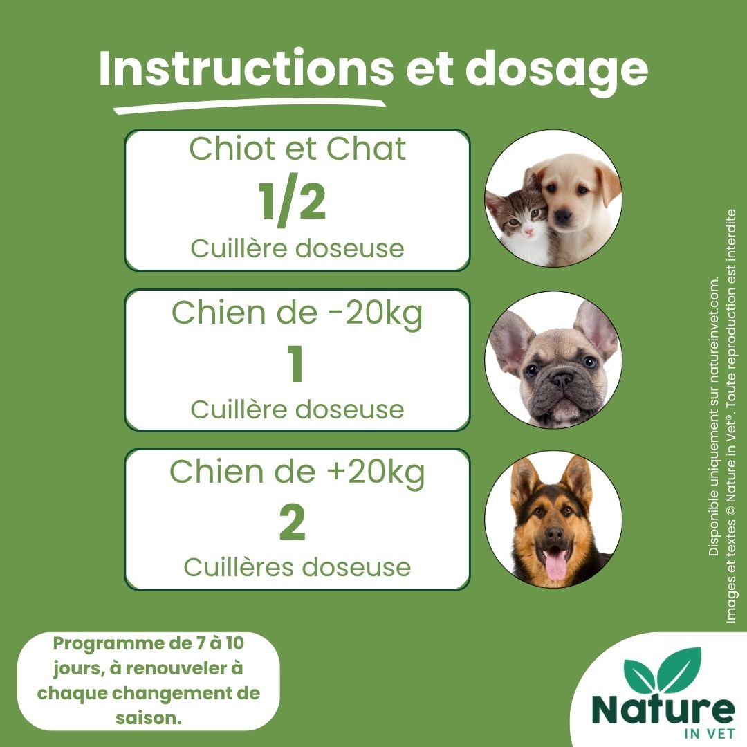 meilleur-vermifuge-naturel-pour-chat