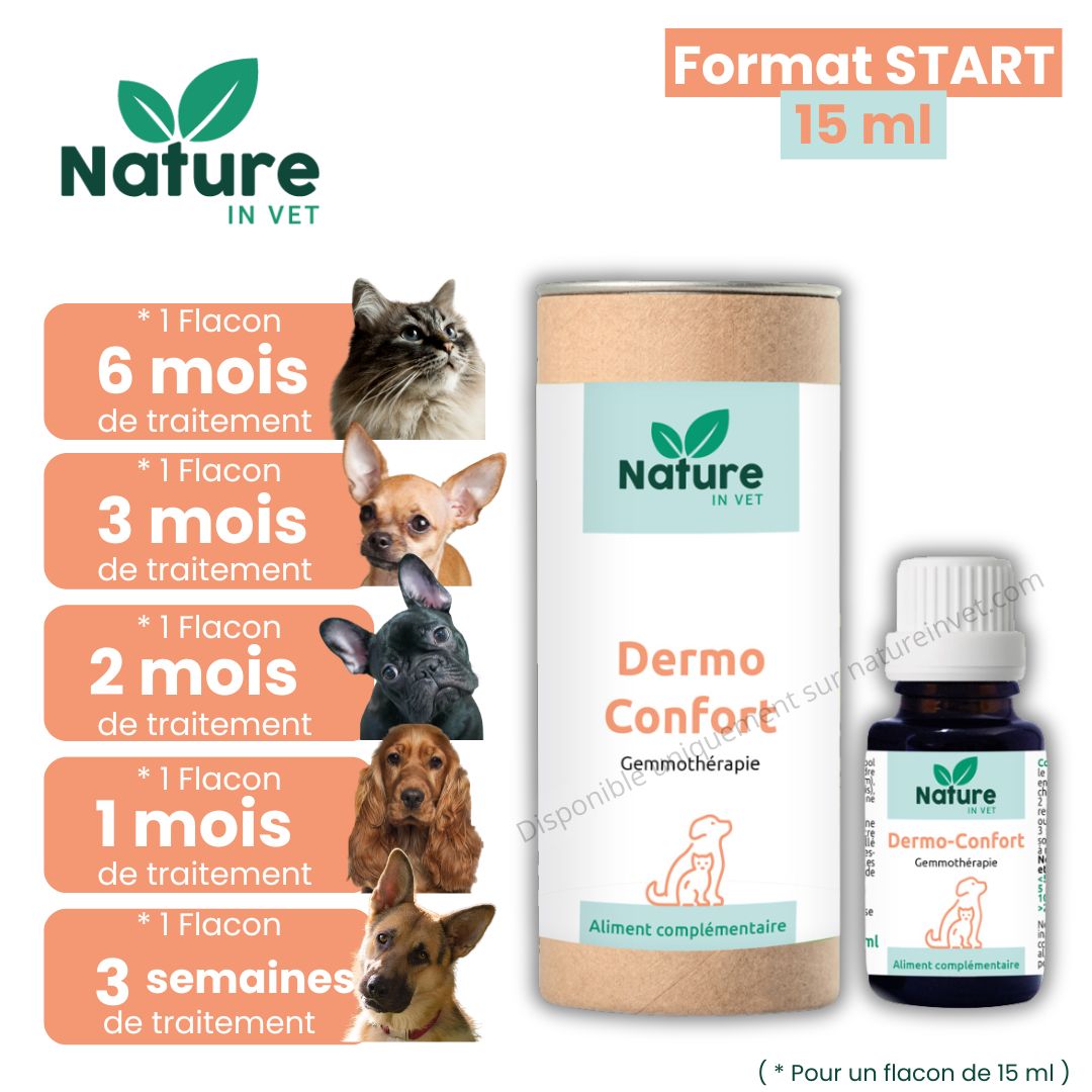 mon-chien-se-gratte-mais-n-a-pas-de-puces