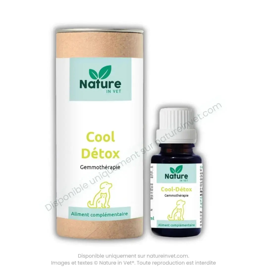 nature-in-vet-cool-detox