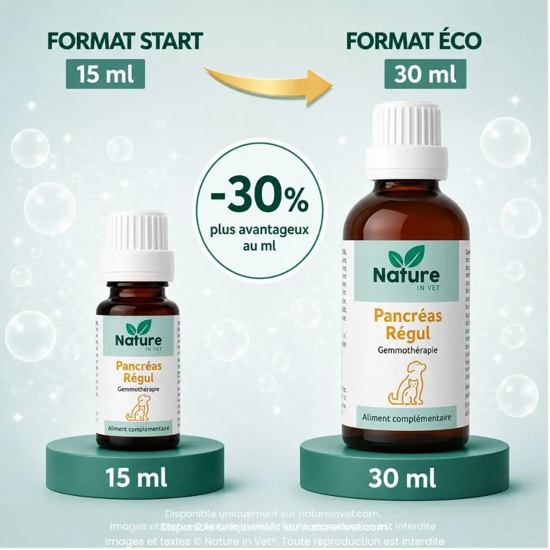 PANCREAS-REGUL Nature In Vet