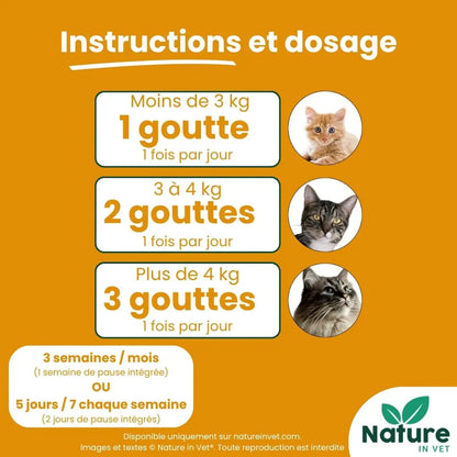PANCREAS-REGUL Nature In Vet