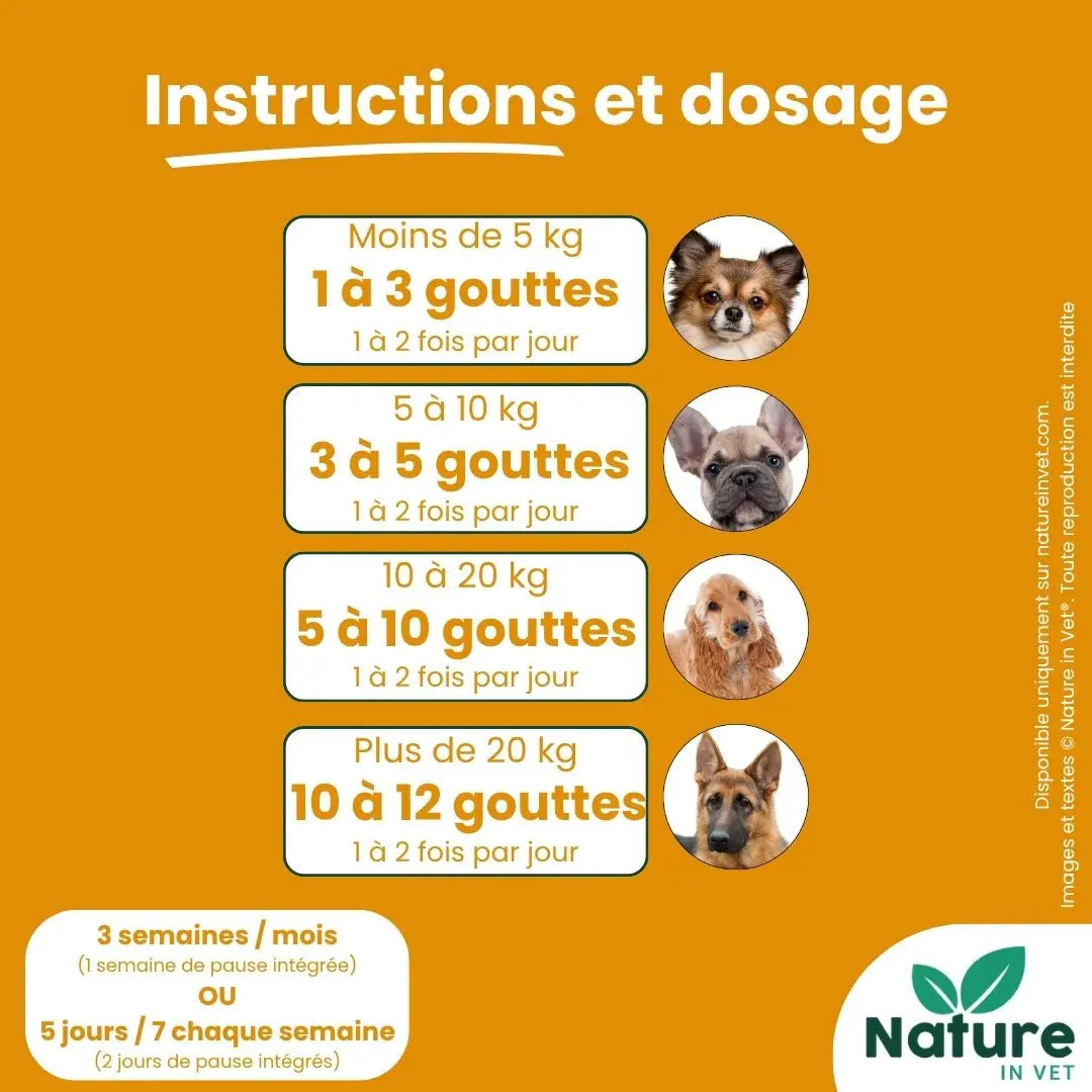 PANCREAS-REGUL Nature In Vet