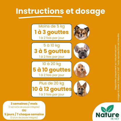 PANCREAS-REGUL Nature In Vet