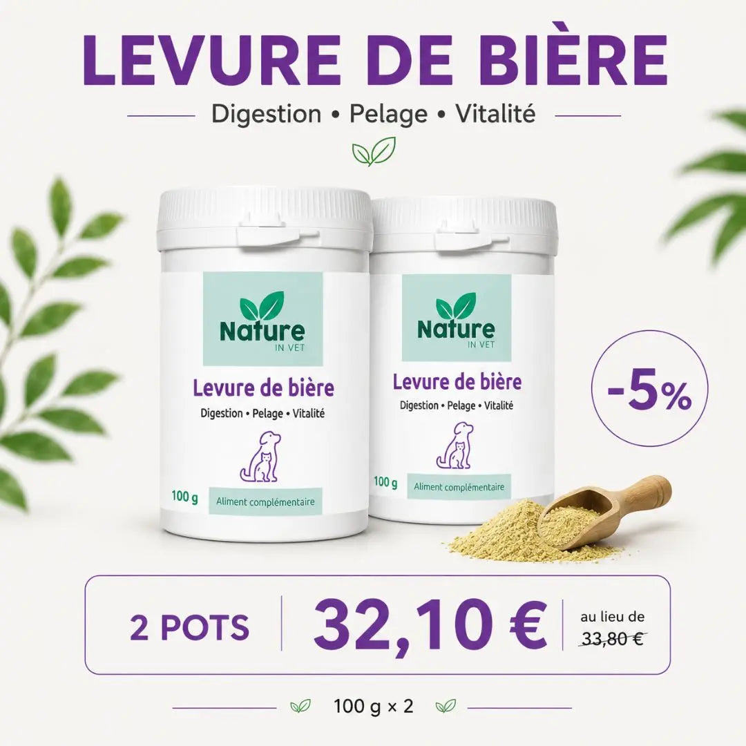 Levure de bière Nature In Vet