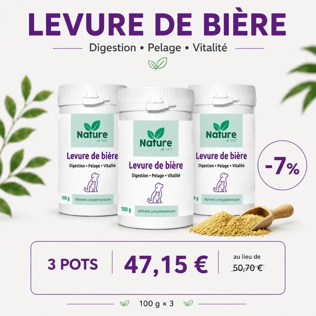 Levure de bière Nature In Vet