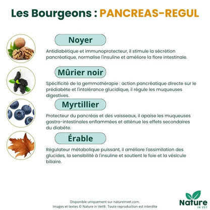 PANCREAS-REGUL Nature In Vet