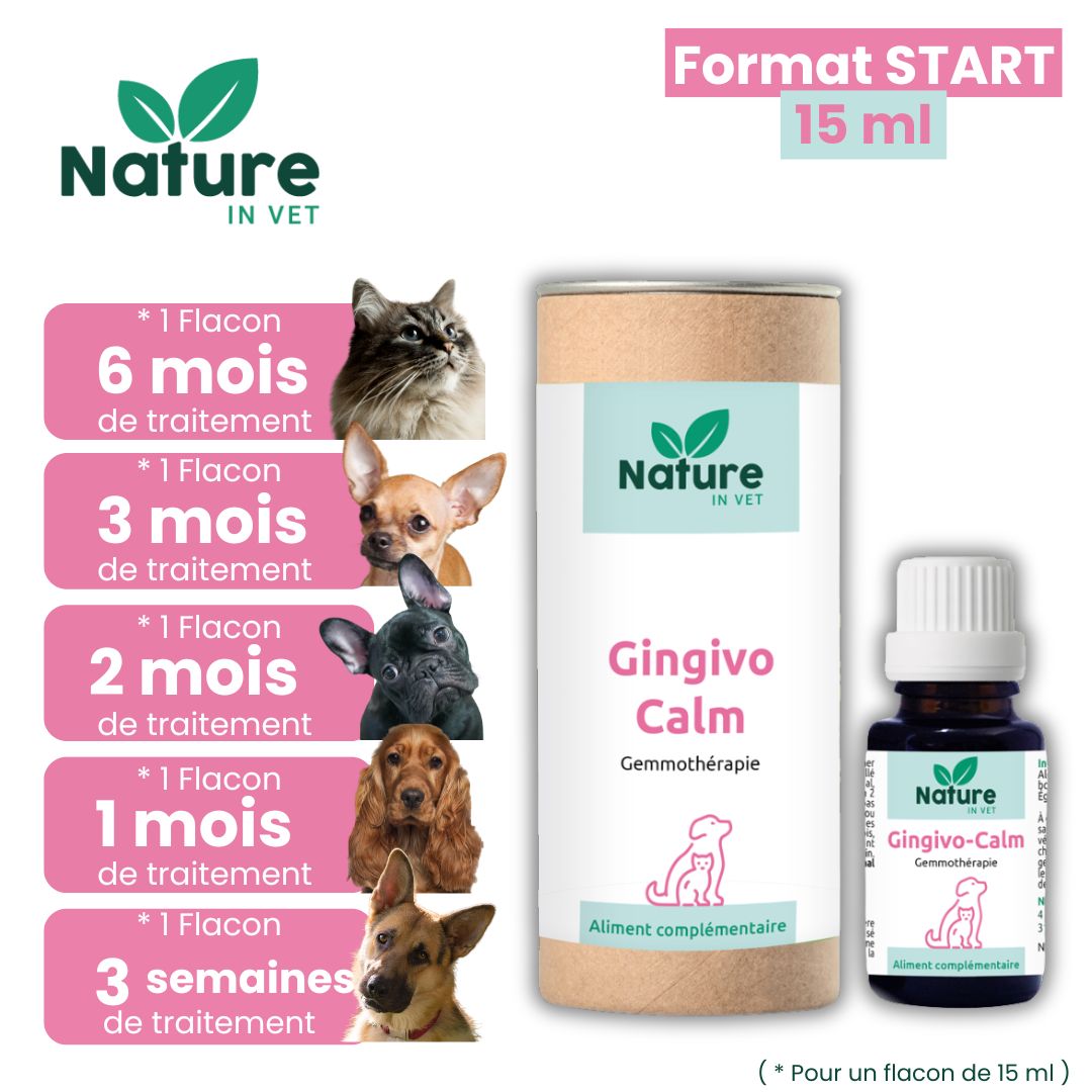 phytotherapie-calicivirus-chat