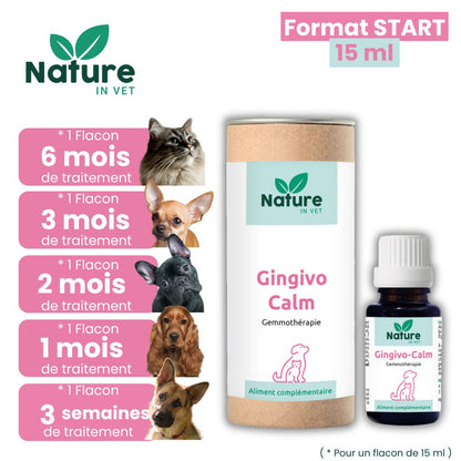 phytotherapie-calicivirus-chat