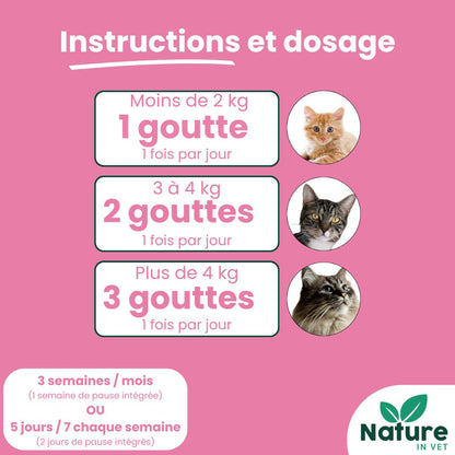 phytotherapie-chat-calicivirus
