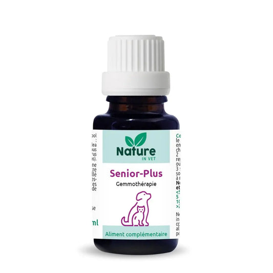 phytotherapie-chat-chien-senior