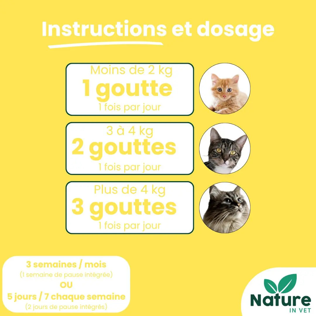 posologie-gemmotherapie-chat-coryza