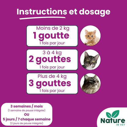 posologie-gemmotherapie-chat-senior