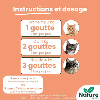 posologie-phytotherapie-chat-demangeaisons