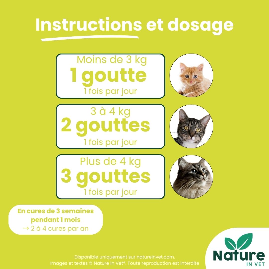 posologie-phytotherapie-chat-detox