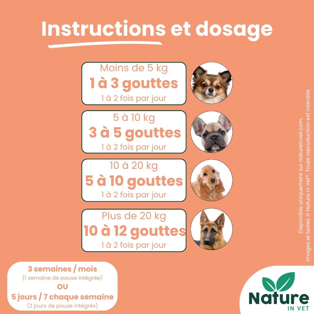 posologie-phytotherapie-chien-demangeaisons