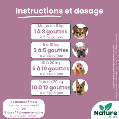 posologie-phytotherapie-chien-mici