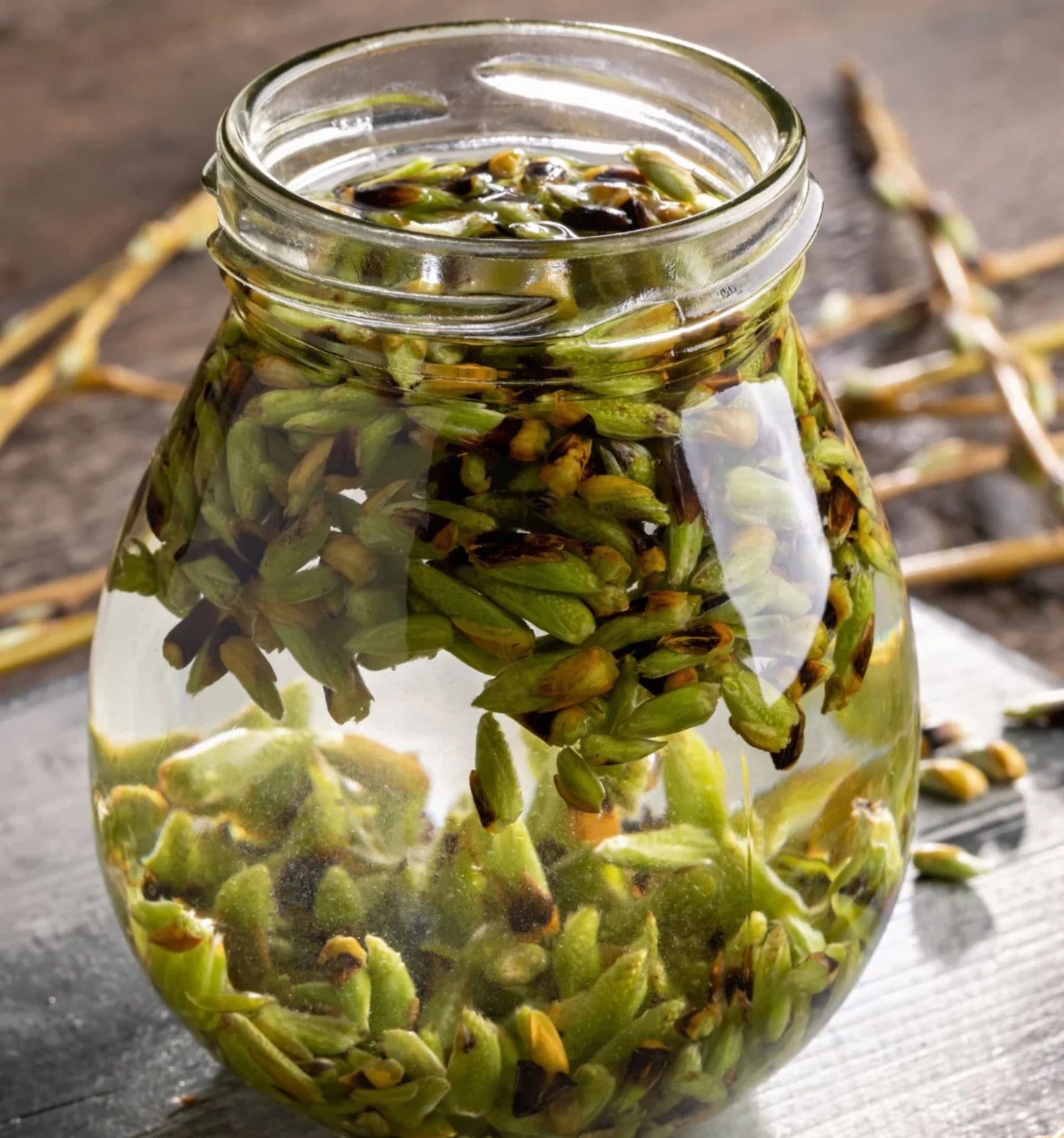 qu-est-ce-que-la-gemmotherapie