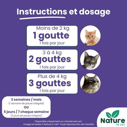 quelle-esperance-de-vie-pour-un-chat-hyperthyroidien