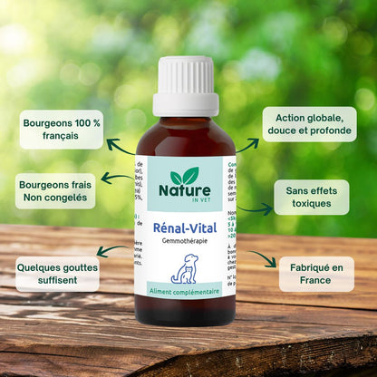 rénal-vital phytotherapie chien et chat