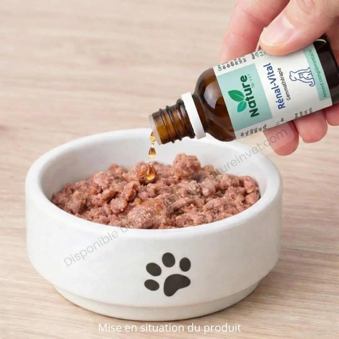 Renal Vital versé dans la nourriture du chien ou du chat