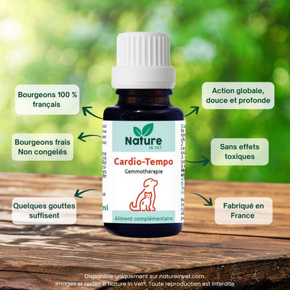 souffle-cardiaque-chien-traitement