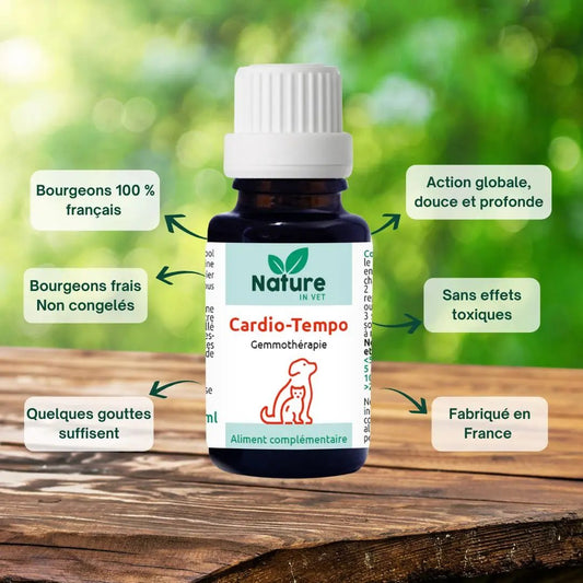 souffle-cardiaque-chien-traitement