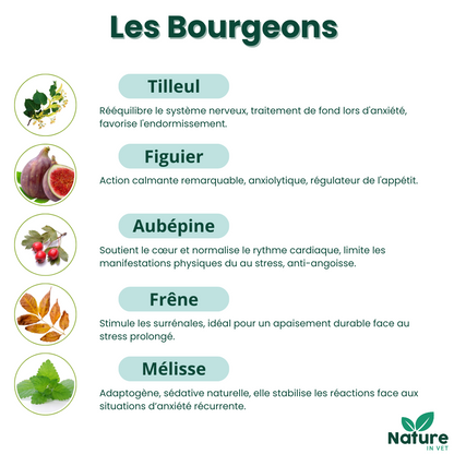 Stop-Stress Nature in Vet, complément naturel en gemmothérapie pour réduire l’anxiété et le stress des chiens et chats, idéal contre l’anxiété de séparation et le mal des transports
